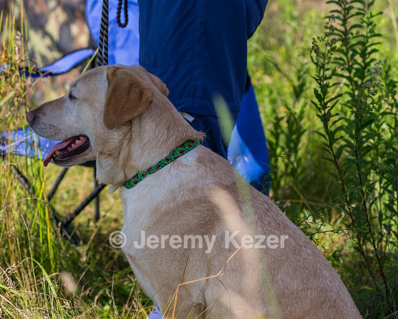 20170716-WCL-0001.jpg