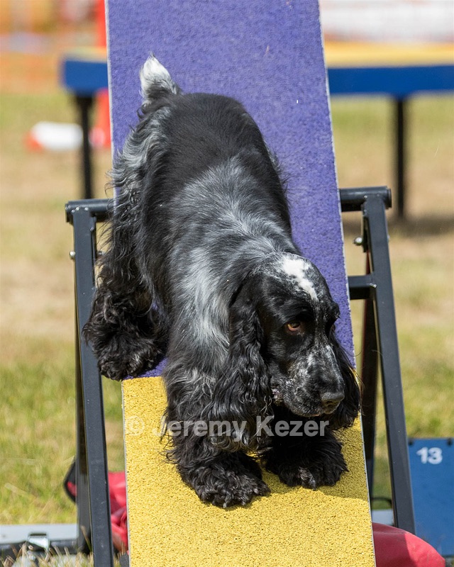 Tula Williams