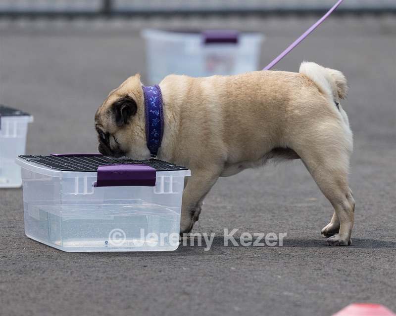 Edie Coleman