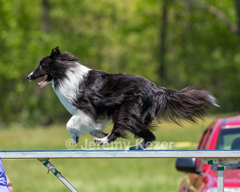 20170520-NEAT-1534.jpg