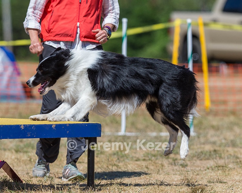 20160619-CCKC-1339.jpg