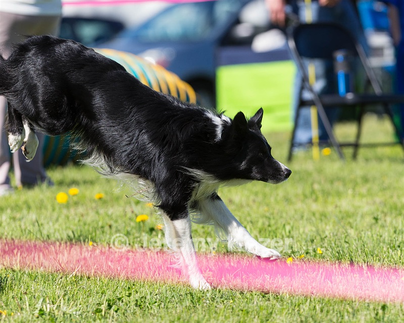 20160514-NEAT-0297.jpg