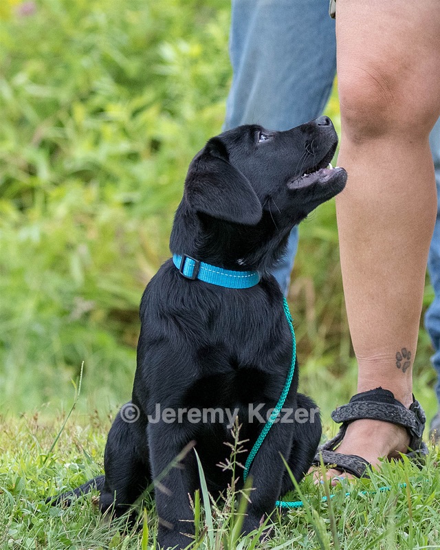 20180804-C-0014.jpg