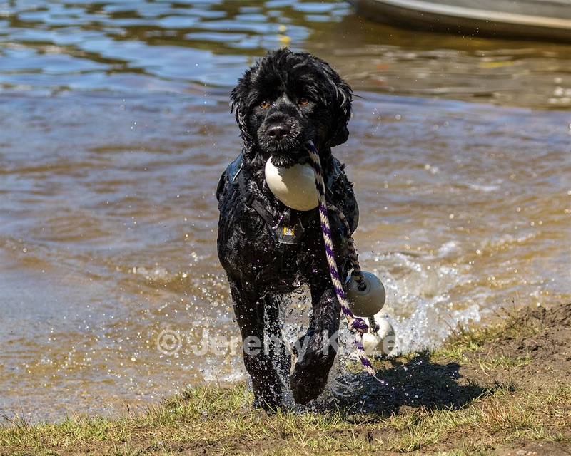 Steel Kathan