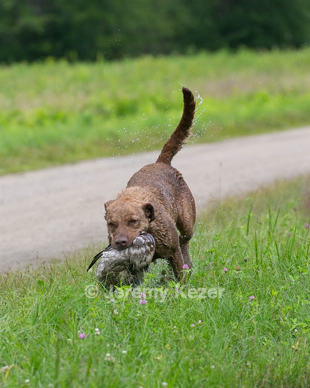 20130713-MHB2-0144.jpg