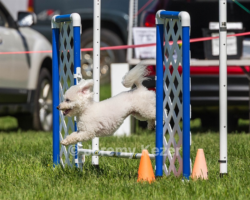 Mulligan Ackerman
