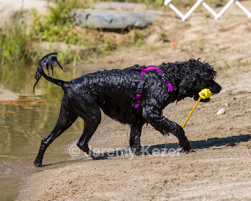 Winnie Patrice