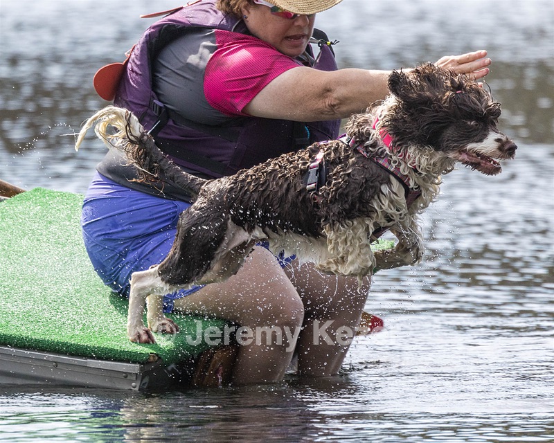 Tillie Lattrell
