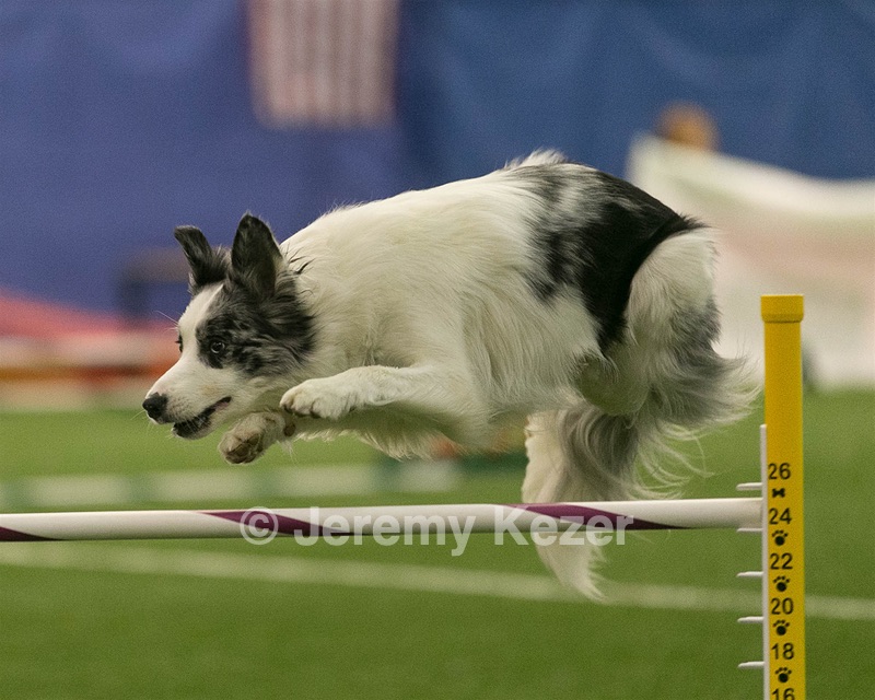 20150321-LEAP-0560.jpg
