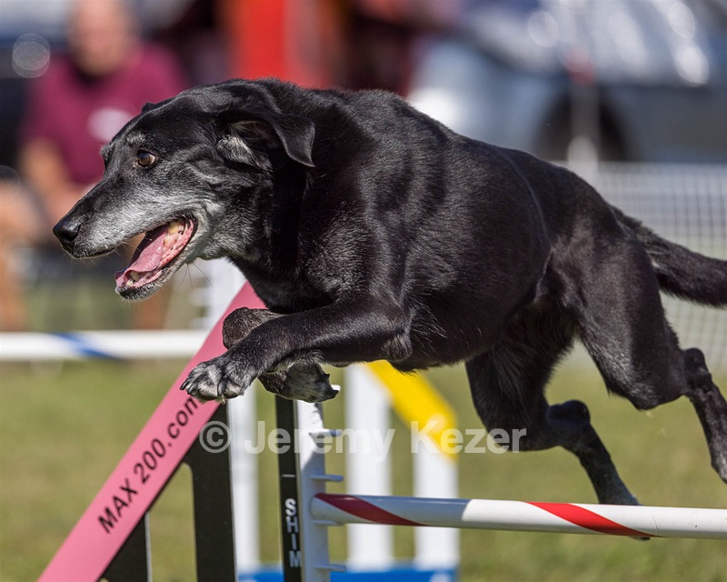 Ebbets Kaplan