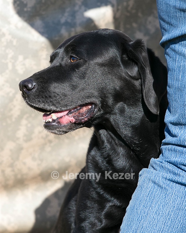 Daisymae