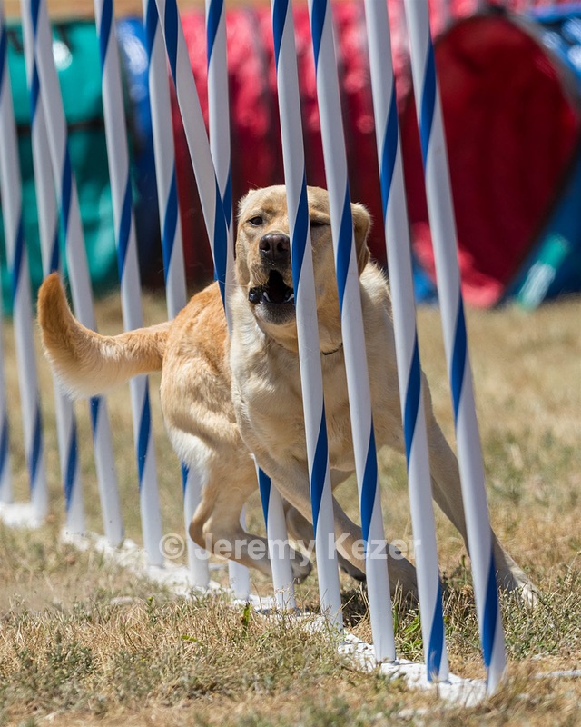 20160618-CCKC-1604.jpg