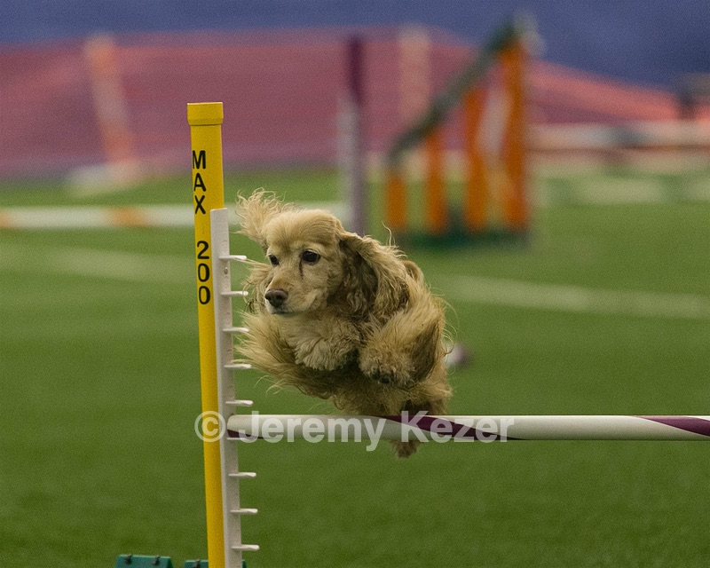 20150321-LEAP-1282.jpg