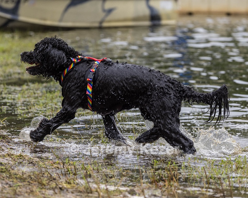 Sofia Lowe