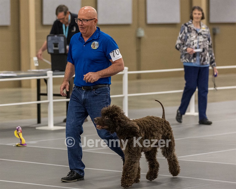 700 - GCH Blackthorn’s Lass That Loves A Sailor in Wicklow CD RM CGC