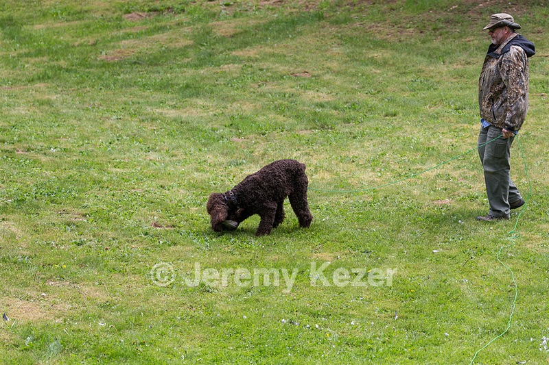 20190512-BD-0137.jpg