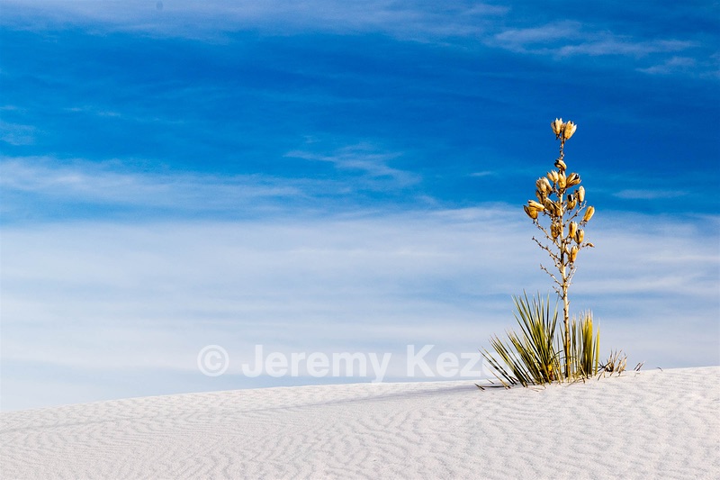 White Sands National Monument, New Mexico
