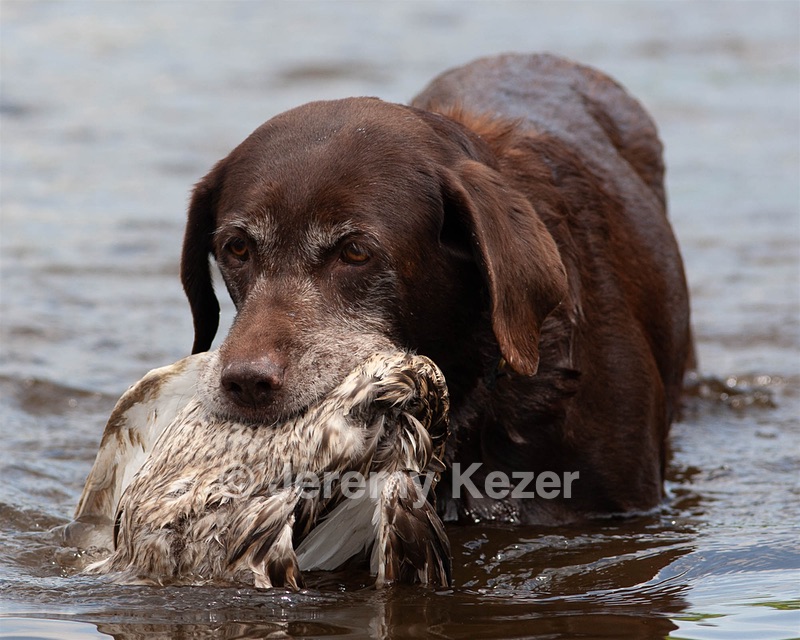 20080601-SRW-0023.jpg