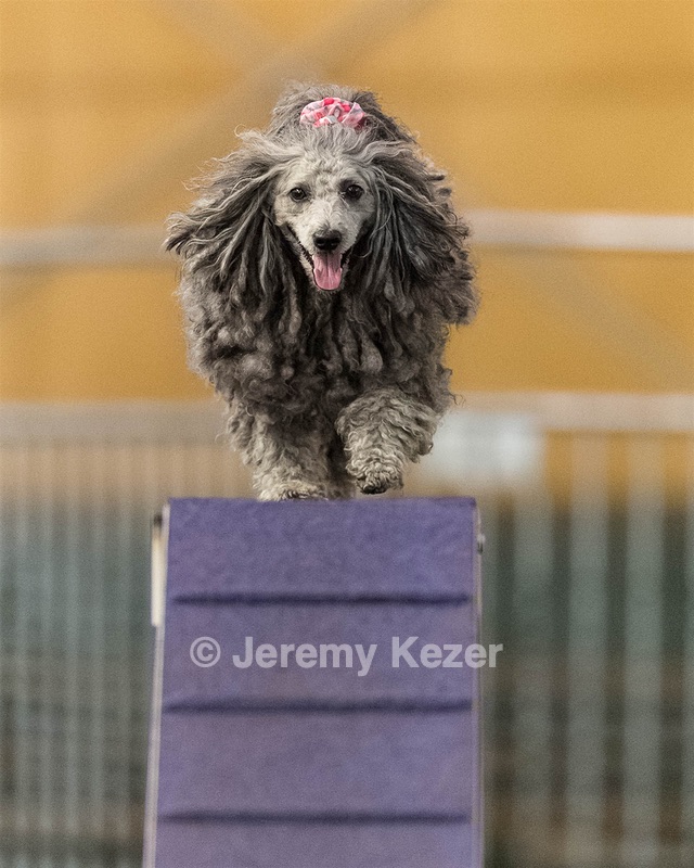 Peetie Sulewski