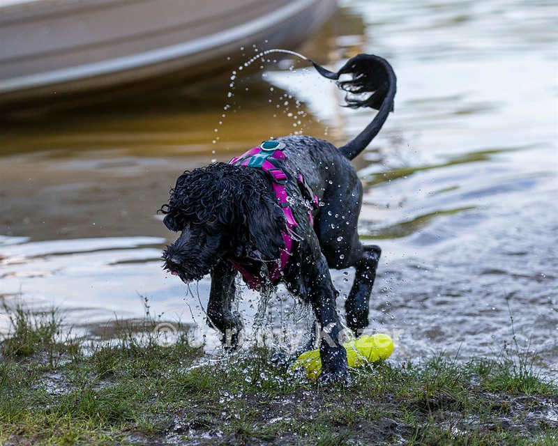 Rory