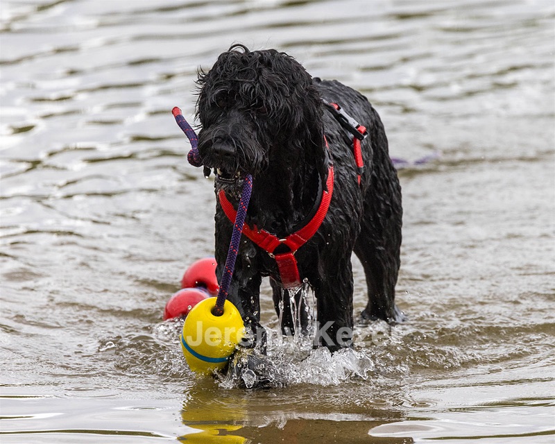 Casea Joyner