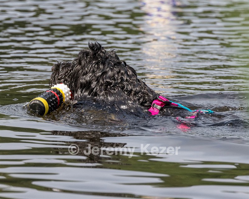"Mistral" & Tobi-Ann