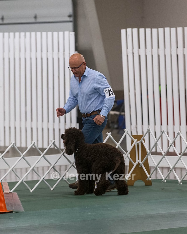 2502 - CH BLACKTHORN'S LASS THAT LOVES A SAILOR IN WICKLOW RE RN CGC (Calypso)