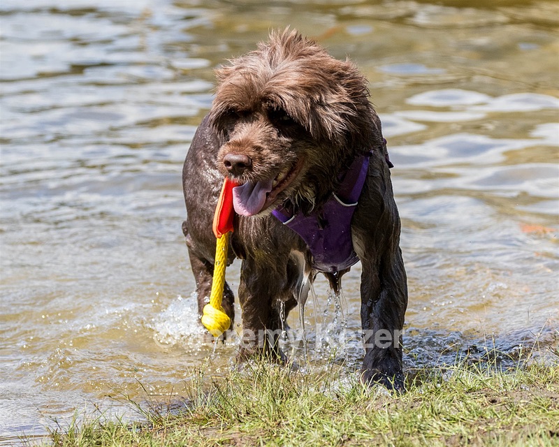 Rosie