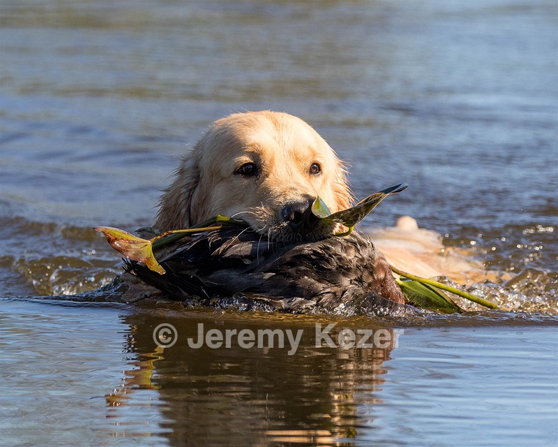 Richie McGee