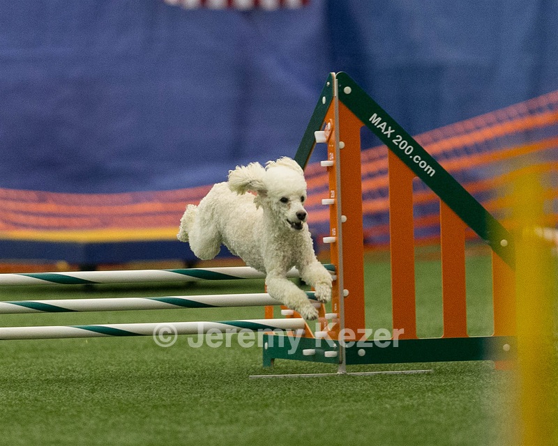20150321-LEAP-1551.jpg