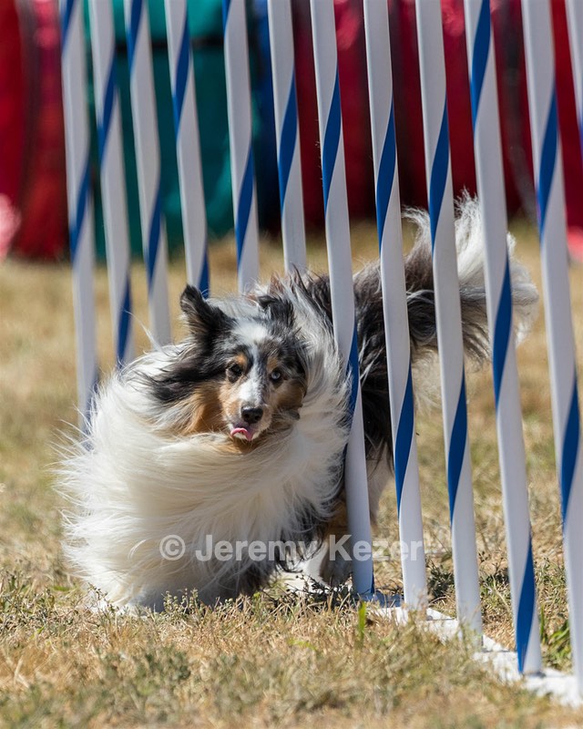 20160618-CCKC-1908.jpg