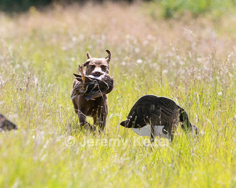Jessie Britton