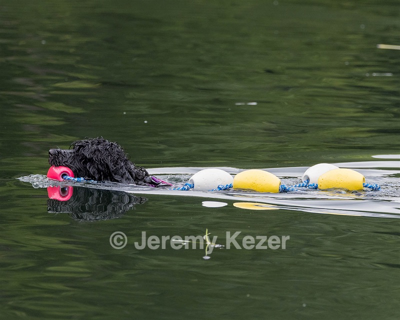 Winnie Lattrell