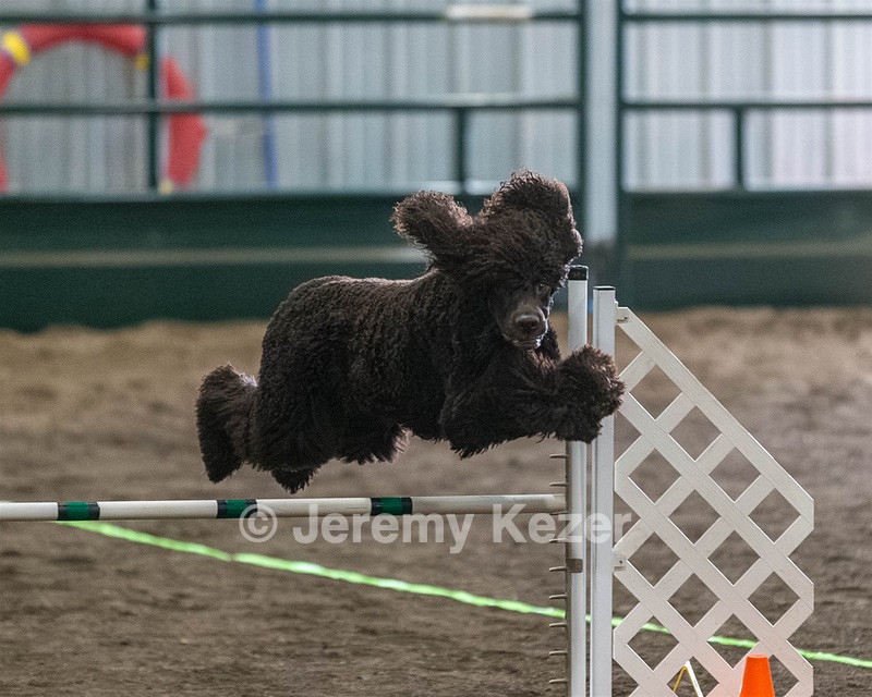 20190513-AG-0499.jpg