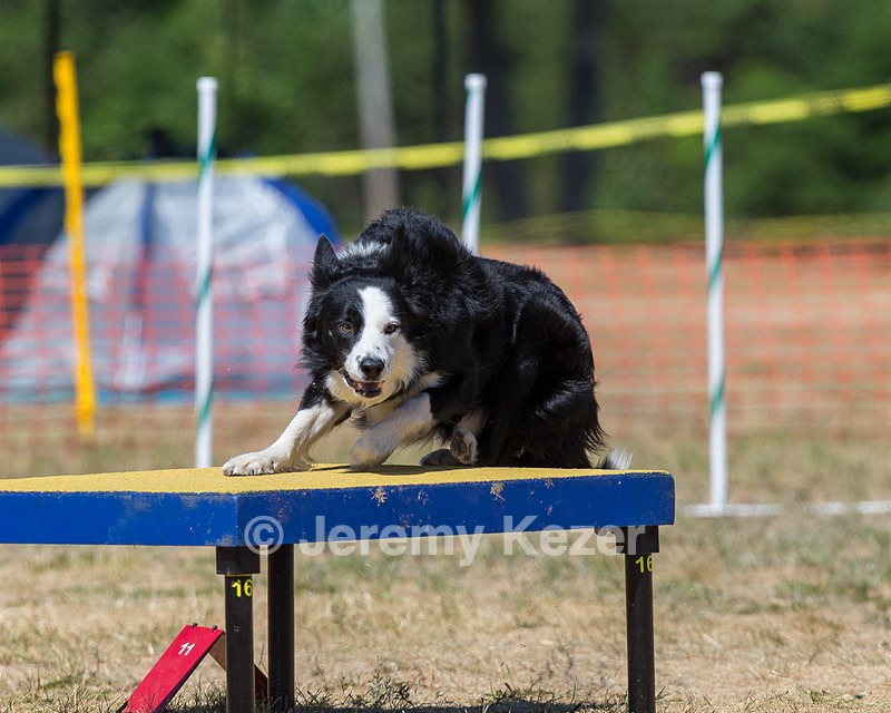 20160619-CCKC-1446.jpg