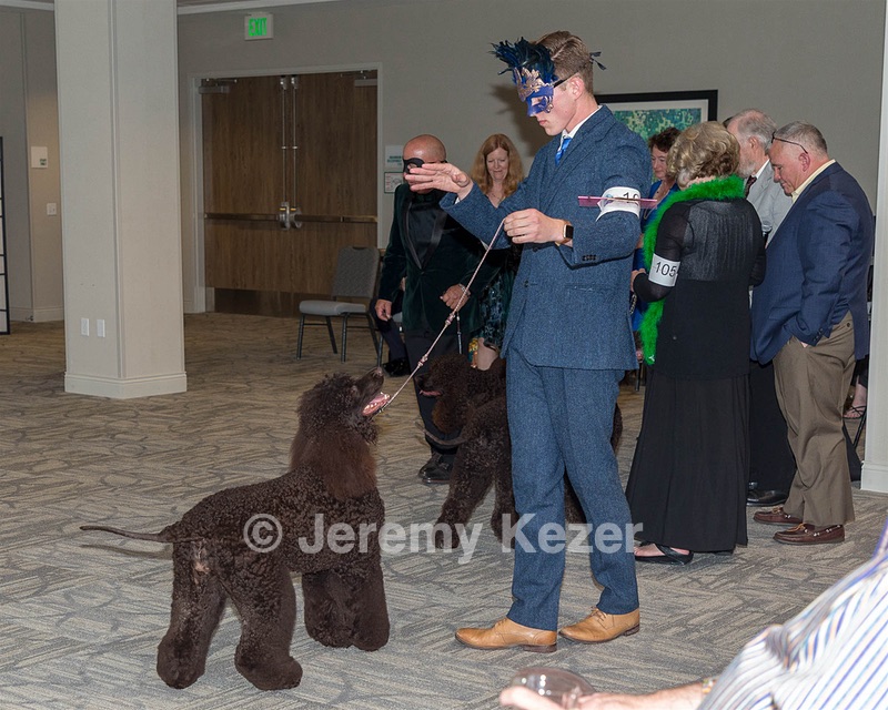20190514-TEN-0073.jpg