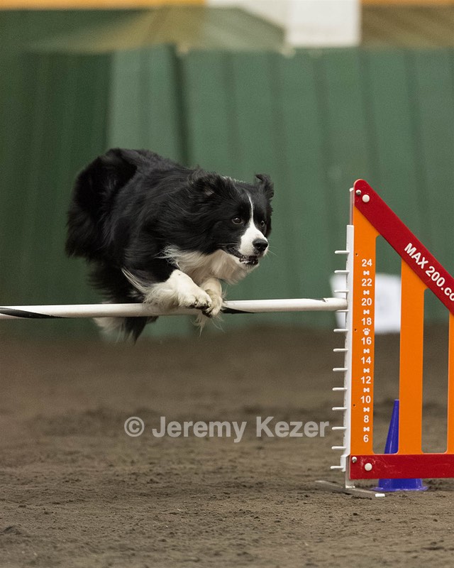 20260613-CCM-0795.jpg