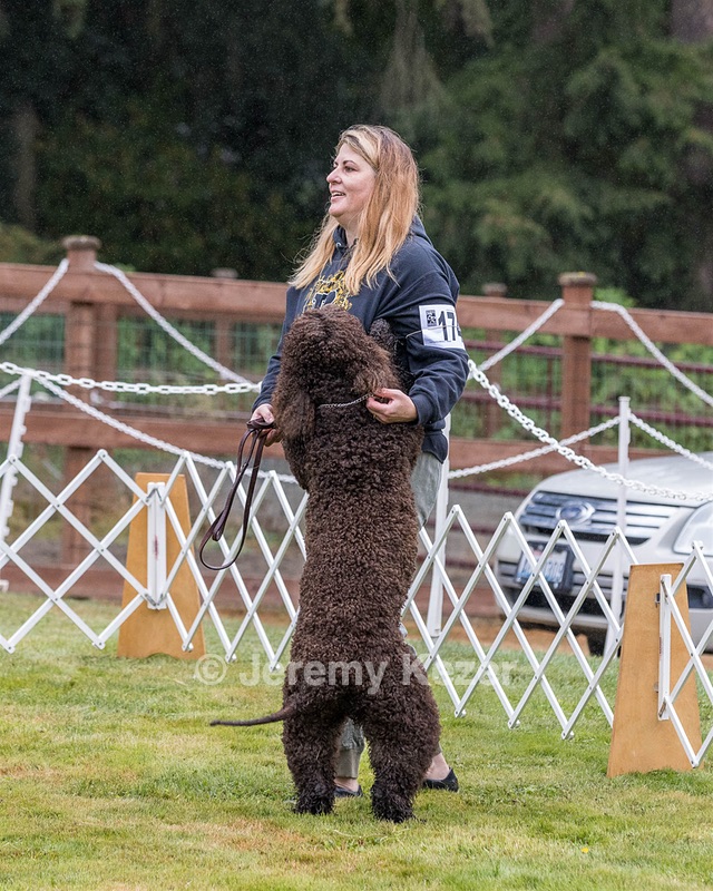 1741 - GCH CH BREKKON'S FIRST MARK CGC
