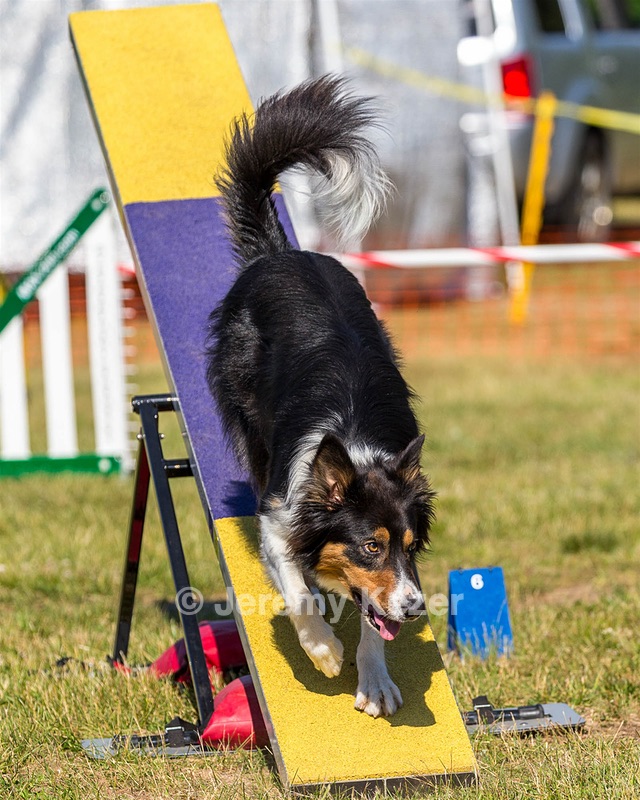 20180617-0299.jpg