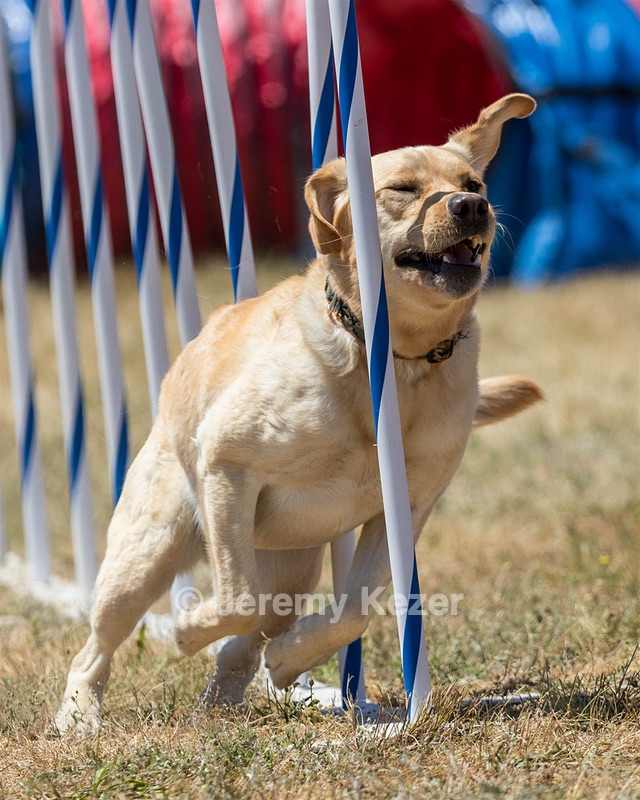 20160618-CCKC-1610.jpg