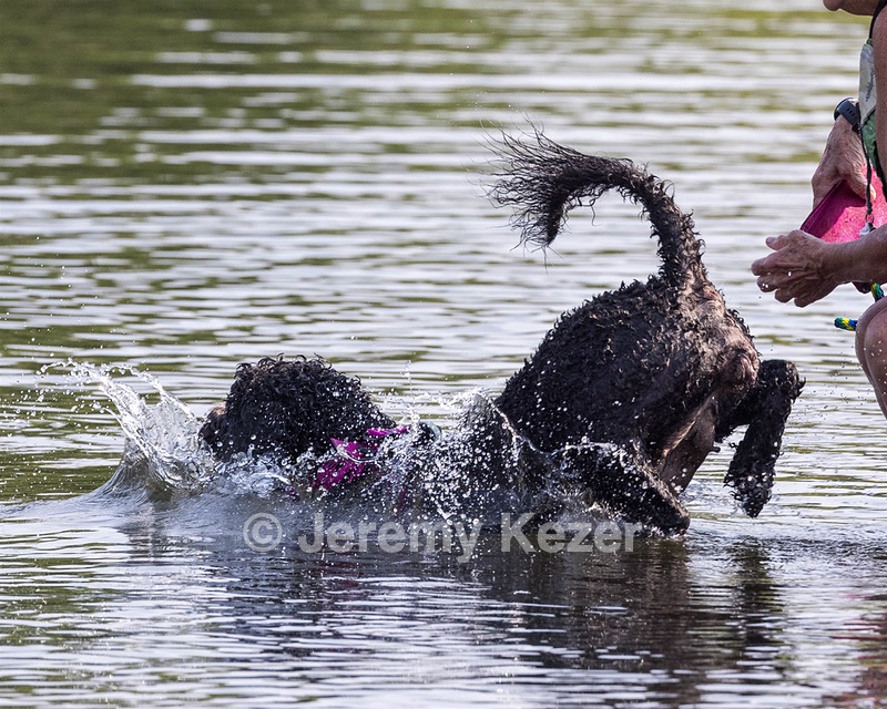 Tango Abbruzzese