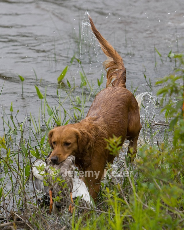 20080531-HRW-0192.jpg