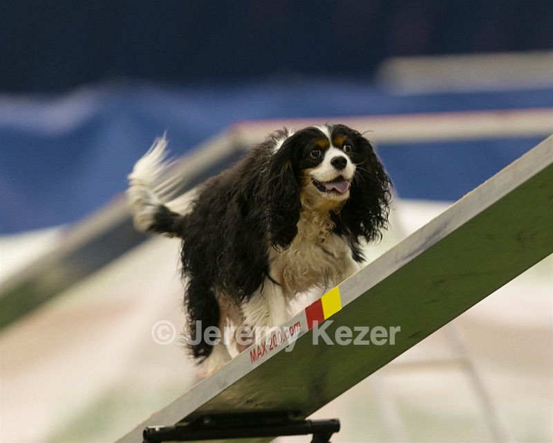 20150321-LEAP-1725.jpg