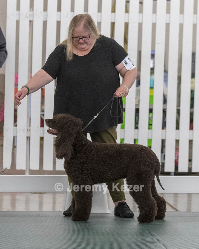 38 - GCH WHISTLESTOP'S ABRACADABRA RN CGC