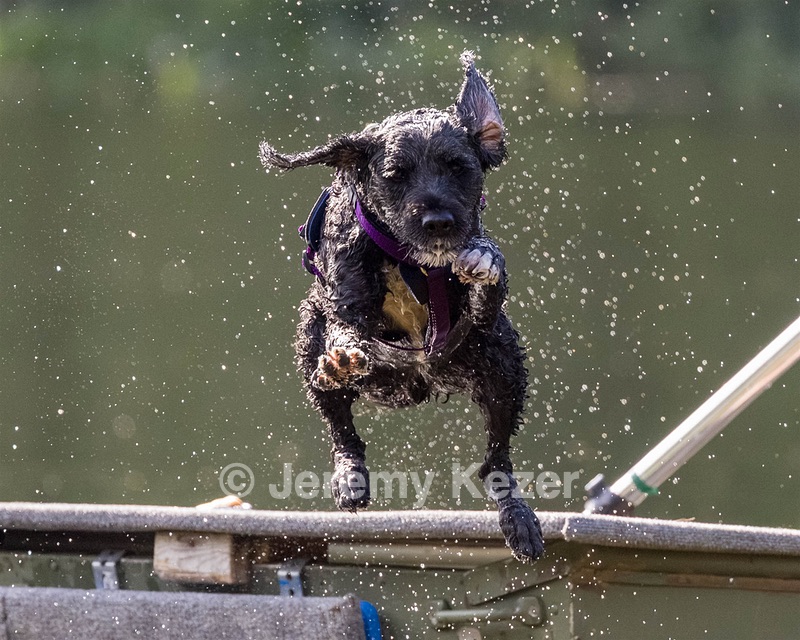 Diamond Nelson