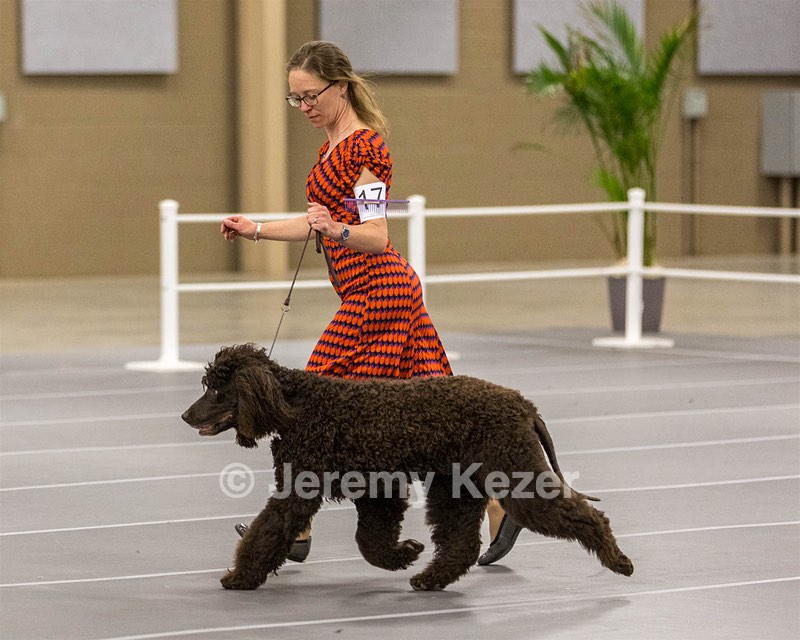 17 - Ballyhoo’s V Finnegan Mcneill BN FDC CA BCAT DS DJ CGCA TKN VHMA JH JHU WD