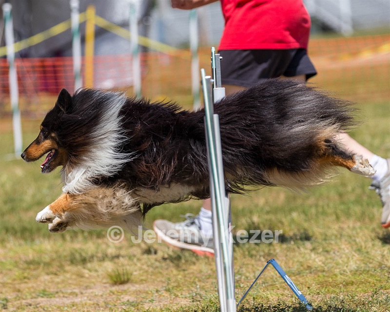 20180617-1445.jpg