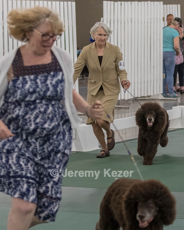 20190515-CO-1895.jpg