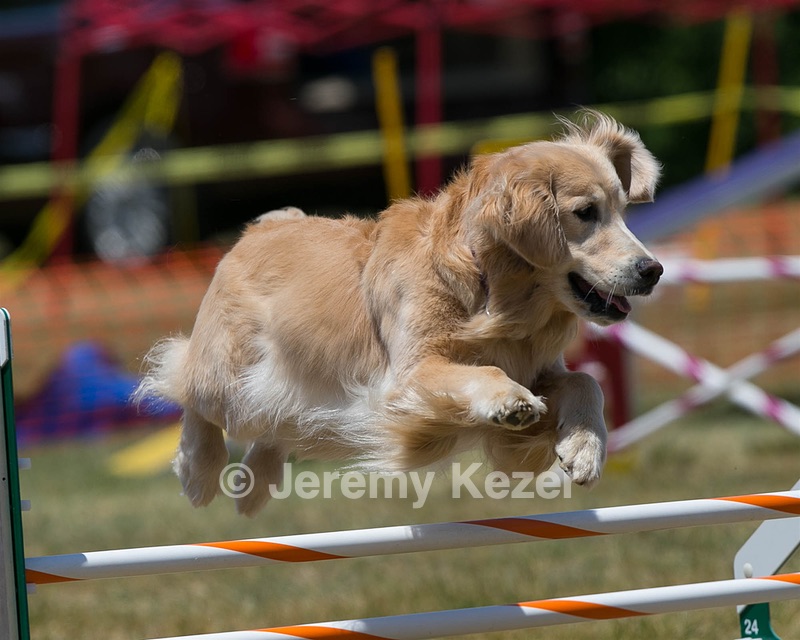 20150613-CCKC-0428.jpg