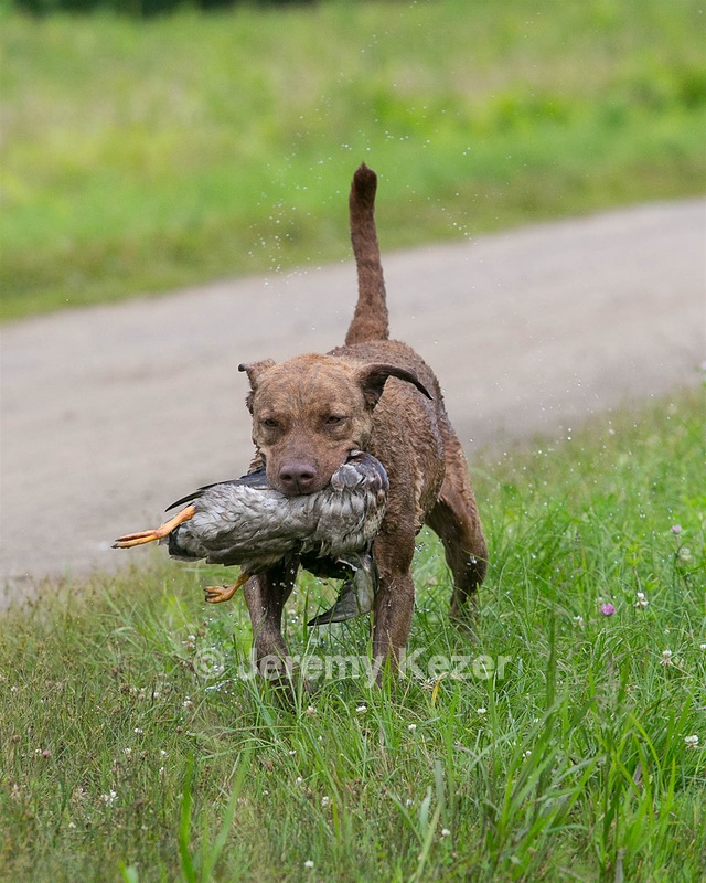 20130713-MHB2-0146.jpg
